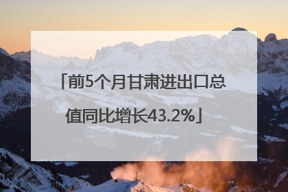 前5个月甘肃进出口总值同比增长43.2%