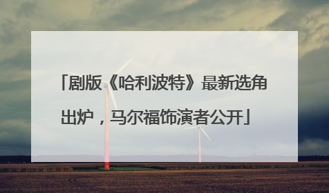剧版《哈利波特》最新选角出炉，马尔福饰演者公开