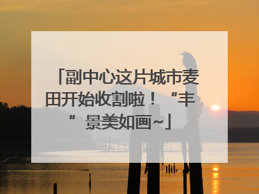 副中心这片城市麦田开始收割啦！“丰”景美如画~