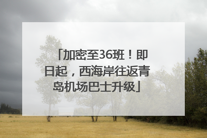加密至36班！即日起，西海岸往返青岛机场巴士升级