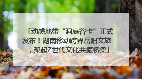 动感地带“洞庭谷卡”正式发布！湖南移动跨界岳阳文旅，架起Z世代文化共振桥梁
