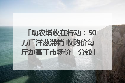 助农增收在行动：50万斤洋葱滞销 收购价每斤却高于市场价三分钱