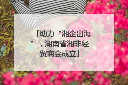 助力“湘企出海”，湖南省湘非经贸商会成立