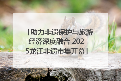 助力非遗保护与旅游经济深度融合 2025龙江非遗市集开幕