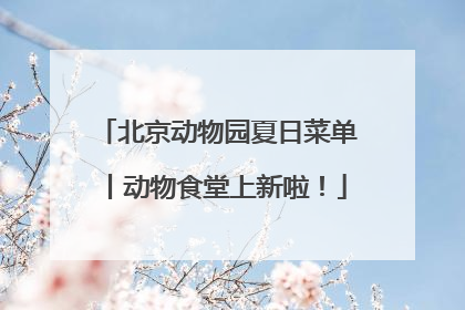北京动物园夏日菜单丨动物食堂上新啦！