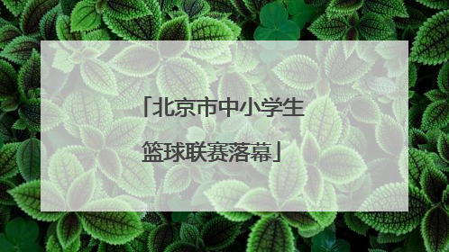 北京市中小学生篮球联赛落幕