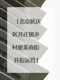北京延庆区井庄镇乡村奥莱商街开街运营