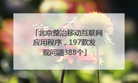 北京整治移动互联网应用程序，197款发现问题388个