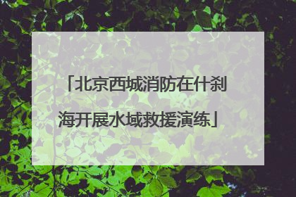 北京西城消防在什刹海开展水域救援演练