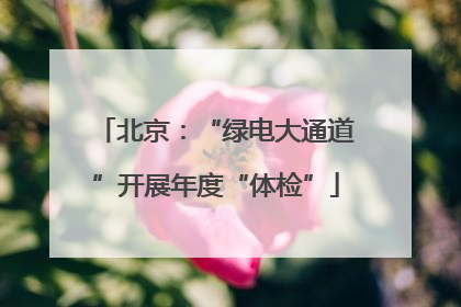 北京：“绿电大通道”开展年度“体检”