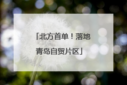 北方首单！落地青岛自贸片区
