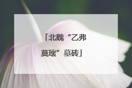 北魏“乙弗莫瓌”墓砖