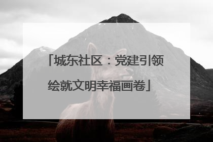 城东社区：党建引领绘就文明幸福画卷
