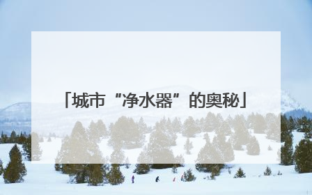 城市“净水器”的奥秘