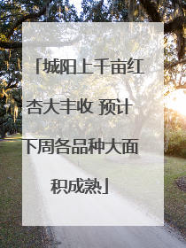 城阳上千亩红杏大丰收 预计下周各品种大面积成熟
