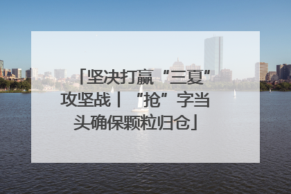 坚决打赢“三夏”攻坚战丨“抢”字当头确保颗粒归仓