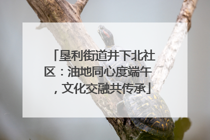 垦利街道井下北社区：油地同心度端午，文化交融共传承
