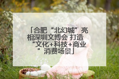 合肥“北幻城”亮相深圳文博会 打造“文化+科技+商业”消费场景