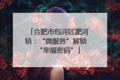 合肥市包河区淝河镇：“微服务”解锁“幸福密码”