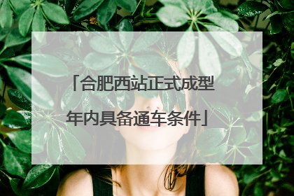 合肥西站正式成型 年内具备通车条件