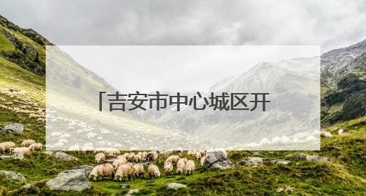 吉安市中心城区开展专项整治行动 着力解决“停车难、停车乱”问题（图）