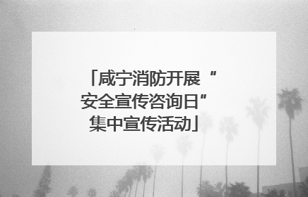 咸宁消防开展“安全宣传咨询日”集中宣传活动