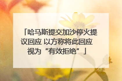 哈马斯提交加沙停火提议回应 以方称将此回应视为“有效拒绝”