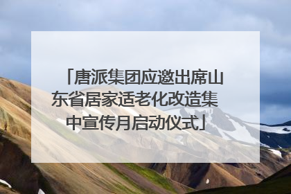 唐派集团应邀出席山东省居家适老化改造集中宣传月启动仪式