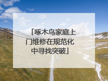 啄木鸟家庭上门维修在规范化中寻找突破