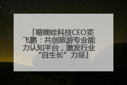 嗯噢哇科技CEO窦飞鹏：共创旅游专业能力认知平台，激发行业“自生长”力量