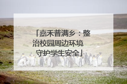 嘉禾普满乡：整治校园周边环境 守护学生安全