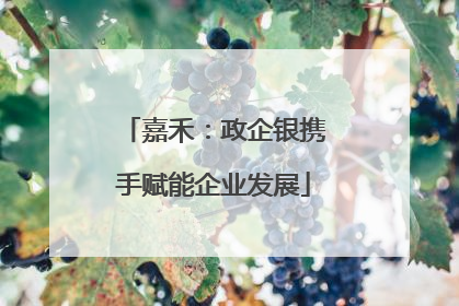 嘉禾：政企银携手赋能企业发展