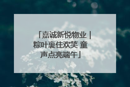 嘉诚新悦物业｜粽叶裹住欢笑 童声点亮端午