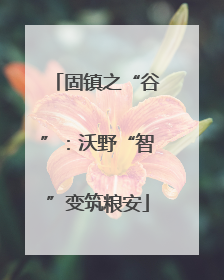 固镇之“谷”：沃野“智”变筑粮安