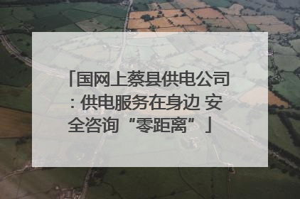 国网上蔡县供电公司:供电服务在身边 安全咨询“零距离”