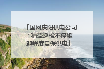 国网庆阳供电公司：精益巡检不停歇 迎峰度夏保供电