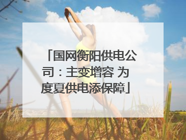 国网衡阳供电公司：主变增容 为度夏供电添保障