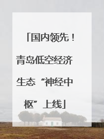 国内领先！青岛低空经济生态“神经中枢”上线