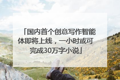 国内首个创意写作智能体即将上线，一小时或可完成30万字小说
