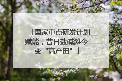 国家重点研发计划赋能，昔日盐碱滩今变“高产田”