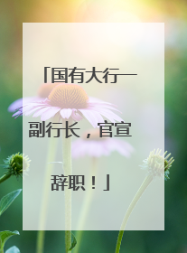 国有大行一副行长，官宣辞职！