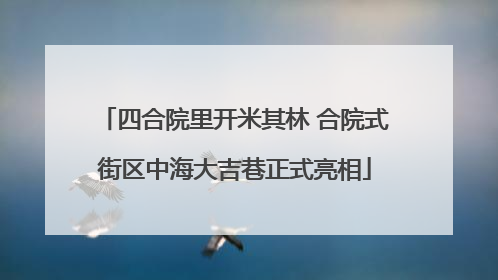 四合院里开米其林 合院式街区中海大吉巷正式亮相
