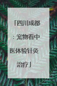四川成都：宠物看中医体验针灸治疗