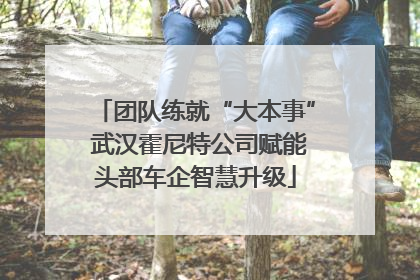 团队练就“大本事” 武汉霍尼特公司赋能头部车企智慧升级