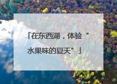 在东西湖，体验“水果味的夏天”
