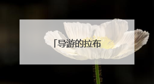 导游的拉布布别乱拿