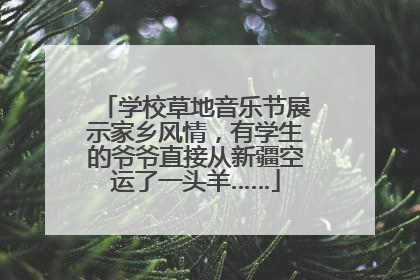 学校草地音乐节展示家乡风情，有学生的爷爷直接从新疆空运了一头羊……