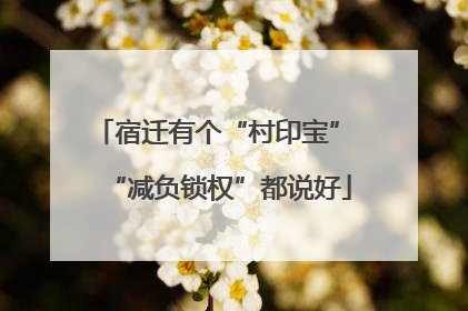 宿迁有个“村印宝” “减负锁权”都说好
