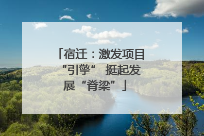 宿迁：激发项目“引擎” 挺起发展“脊梁”