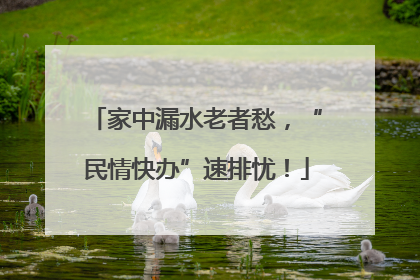 家中漏水老者愁，“民情快办”速排忧！
